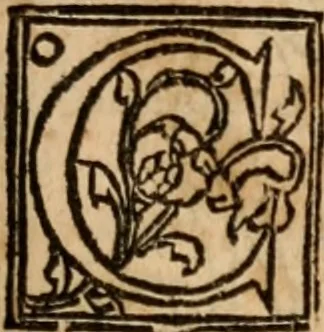An illustration from Cosmographia Petri Apiani, 1553, leaf 14
