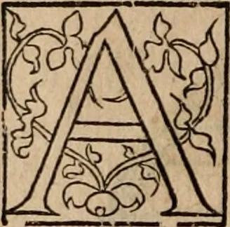 An illustration from Cosmographia Petri Apiani, 1553, leaf 19