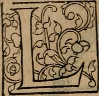 An illustration from Cosmographia Petri Apiani, 1553, leaf 21