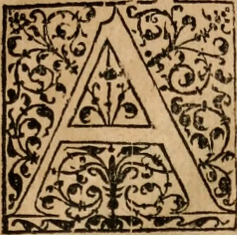 An illustration from Cosmographia Petri Apiani, 1553, leaf 24
