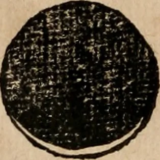 An illustration from Cosmographia Petri Apiani, 1553, leaf 31