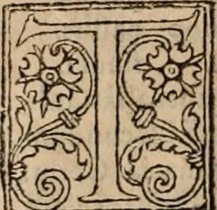 An illustration from Cosmographia Petri Apiani, 1553, leaf 37