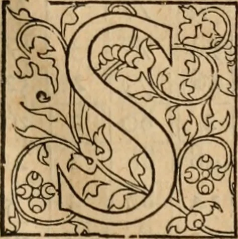 An illustration from Cosmographia Petri Apiani, 1553, leaf 38