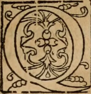 An illustration from Cosmographia Petri Apiani, 1553, leaf 40