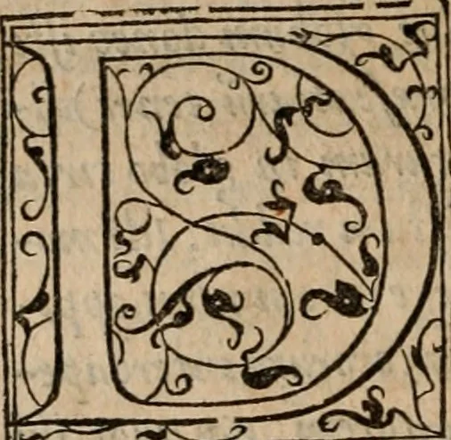 An illustration from Cosmographia Petri Apiani, 1553, leaf 41