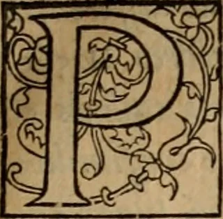 An illustration from Cosmographia Petri Apiani, 1553, leaf 42