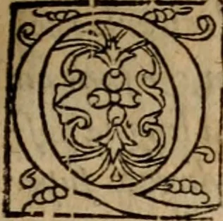 An illustration from Cosmographia Petri Apiani, 1553, leaf 50