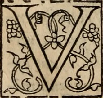 An illustration from Cosmographia Petri Apiani, 1553, leaf 53