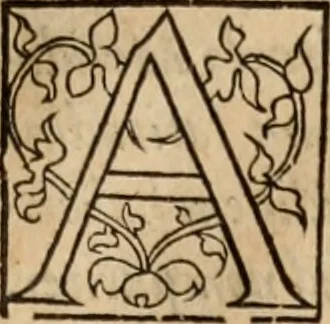An illustration from Cosmographia Petri Apiani, 1553, leaf 58