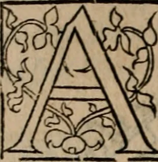 An illustration from Cosmographia Petri Apiani, 1553, leaf 61
