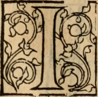 An illustration from Cosmographia Petri Apiani, 1553, leaf 62