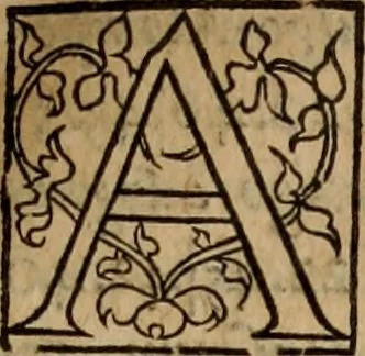 An illustration from Cosmographia Petri Apiani, 1553, leaf 72