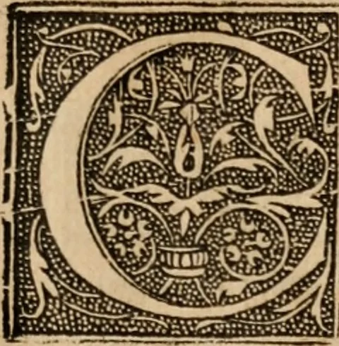 An illustration from Cosmographia Petri Apiani, 1553, leaf 8