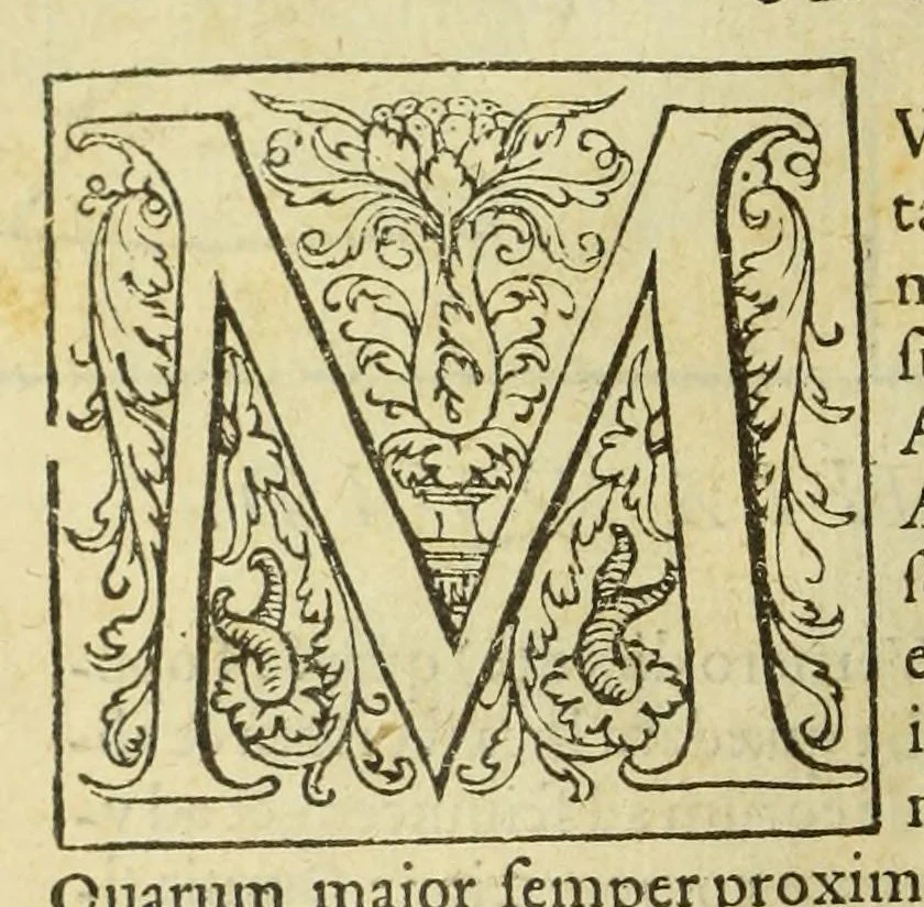 An illustration from Cosmographia Petri Apiani,, 1550, leaf 12
