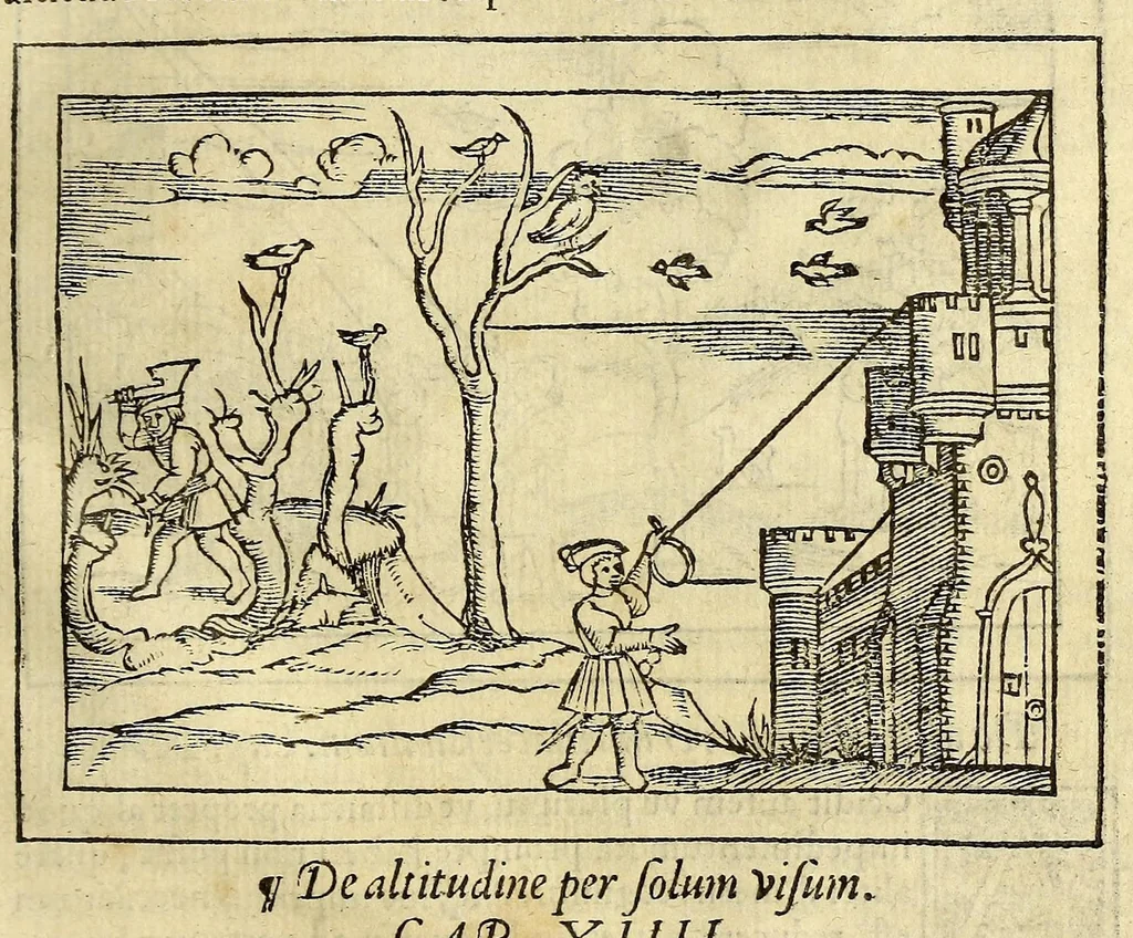 An illustration from Cosmographia Petri Apiani,, 1550, leaf 135