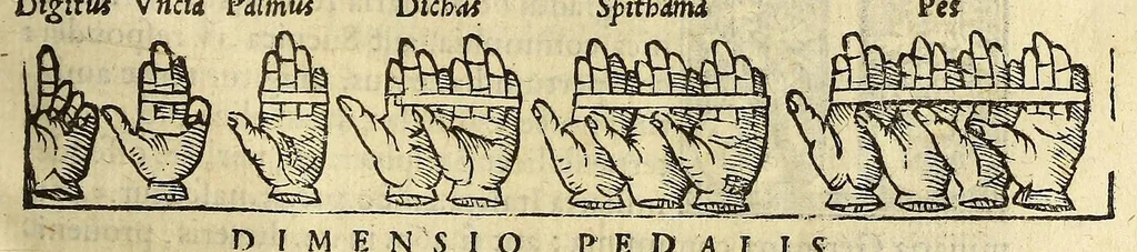 An illustration from Cosmographia Petri Apiani,, 1550, leaf 37