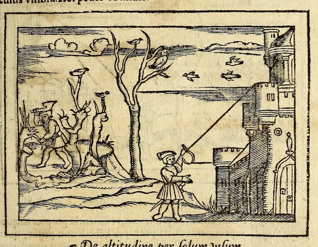 An illustration from Cosmographia Petri Apiani,, 1564, leaf 135