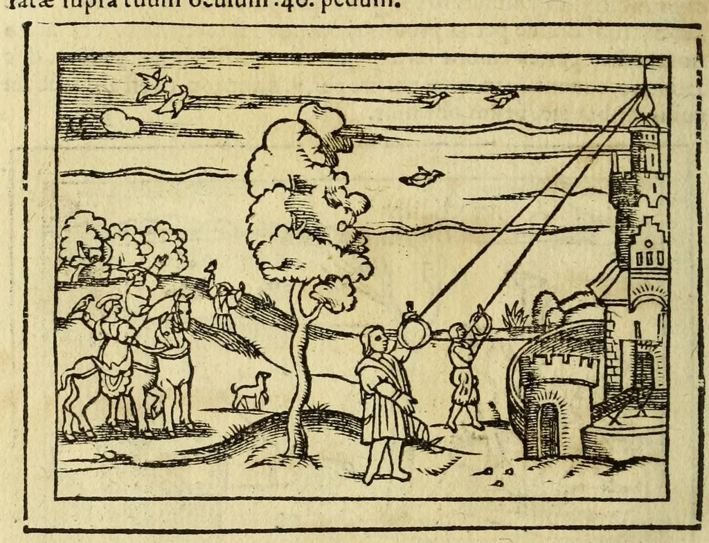 An illustration from Cosmographia Petri Apiani,, 1564, leaf 136
