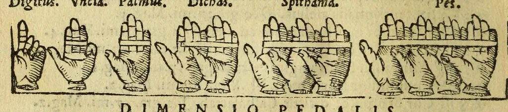 An illustration from Cosmographia Petri Apiani,, 1564, leaf 36