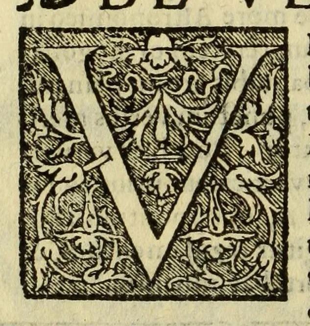 An illustration from Cosmographia Petri Apiani,, 1553, leaf 54