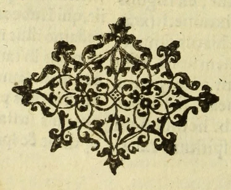 An illustration from Cosmographia Petri Apiani,, 1574, leaf 102