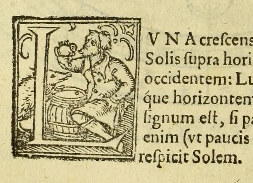 An illustration from Cosmographia Petri Apiani,, 1574, leaf 110