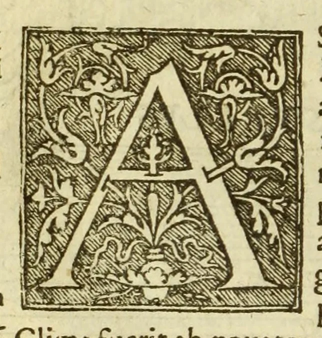 An illustration from Cosmographia Petri Apiani,, 1574, leaf 22