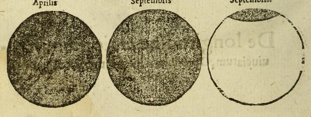 An illustration from Cosmographia Petri Apiani,, 1574, leaf 32
