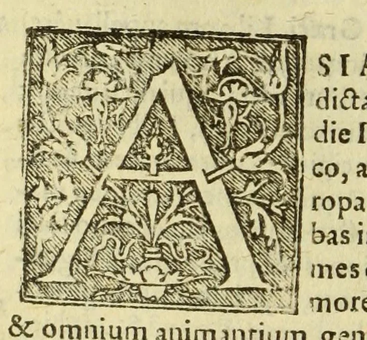 An illustration from Cosmographia Petri Apiani,, 1574, leaf 68