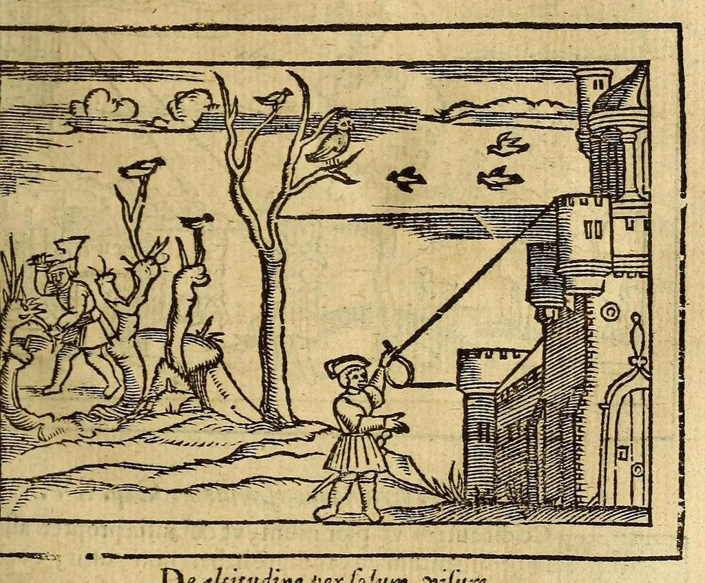 An illustration from Cosmographia Petri Apiani,, 1574, leaf 141
