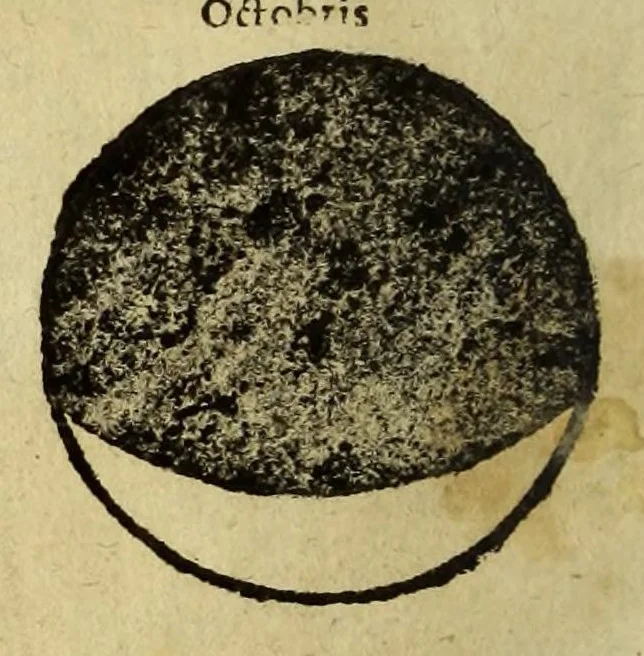 An illustration from Cosmographia Petri Apiani,, 1574, leaf 30