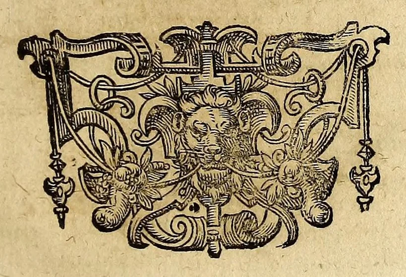 An illustration from Cosmographia prosometrica : Hoc est, universi terrarum orbis regionum, populorum, insularum, urbium, fluviorum, montium, marium, aliarumq[ue]; rerum cosmographicarum, tum ex probatis autoribus, variorumq[ue]; locorum antiquitatibus, oratione soluta; tum ex variis variorum poëtarum monumentis oratione ligata descriptio., 1619, leaf 51