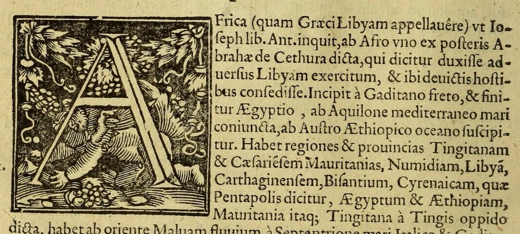 An illustration from Cosmographia, siue descriptio vniuersi orbis,, 1584, leaf 88
