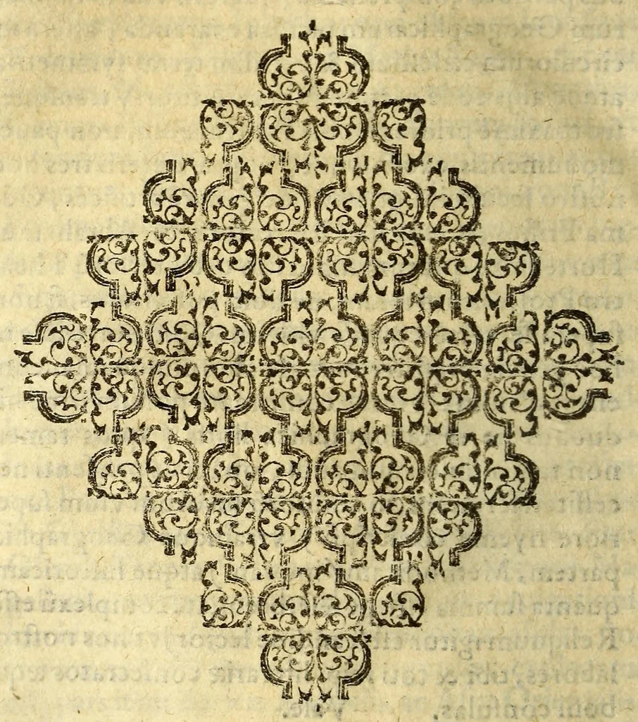 An illustration from Cosmographia siue geographia D. Iacobi Cheyneii ... duobus libris comprehensa. Accessit Gemmæ Phrysij medici ac mathematici De orbis diuisione, [et] insulis recenter inuentis, opusculum longe, quam ante hac castigatius, 1599, leaf 128
