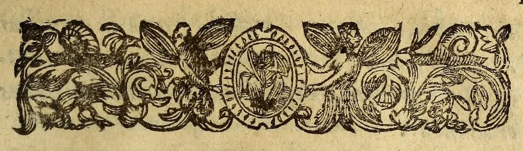 An illustration from Cosmographia siue geographia D. Iacobi Cheyneii ... duobus libris comprehensa. Accessit Gemmæ Phrysij medici ac mathematici De orbis diuisione, [et] insulis recenter inuentis, opusculum longe, quam ante hac castigatius, 1599, leaf 129