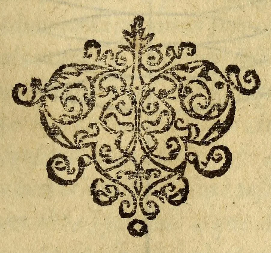 An illustration from Cosmographia siue geographia D. Iacobi Cheyneii ... duobus libris comprehensa. Accessit Gemmæ Phrysij medici ac mathematici De orbis diuisione, [et] insulis recenter inuentis, opusculum longe, quam ante hac castigatius, 1599, leaf 191