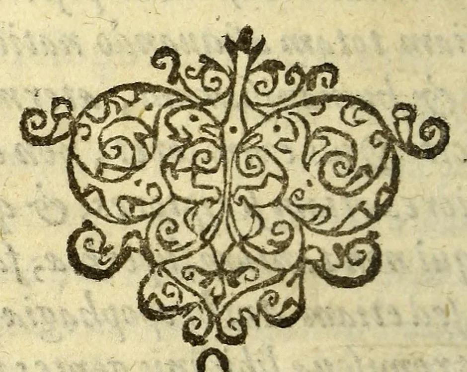 An illustration from Cosmographia siue geographia D. Iacobi Cheyneii ... duobus libris comprehensa. Accessit Gemmæ Phrysij medici ac mathematici De orbis diuisione, [et] insulis recenter inuentis, opusculum longe, quam ante hac castigatius, 1599, leaf 244