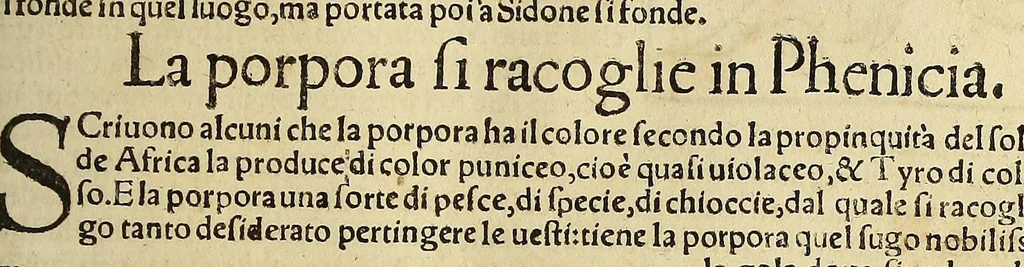 An illustration from Cosmographia vniuersale, nella quale secondo che n'hanno parlato : ipiu veraci scrittori, son designati i siti di tutti gli paësi. I siti de tutte le parti del mondo habitabile, & le proprie doti: le tauole topographice delle regioni ..., 1575, leaf 1189