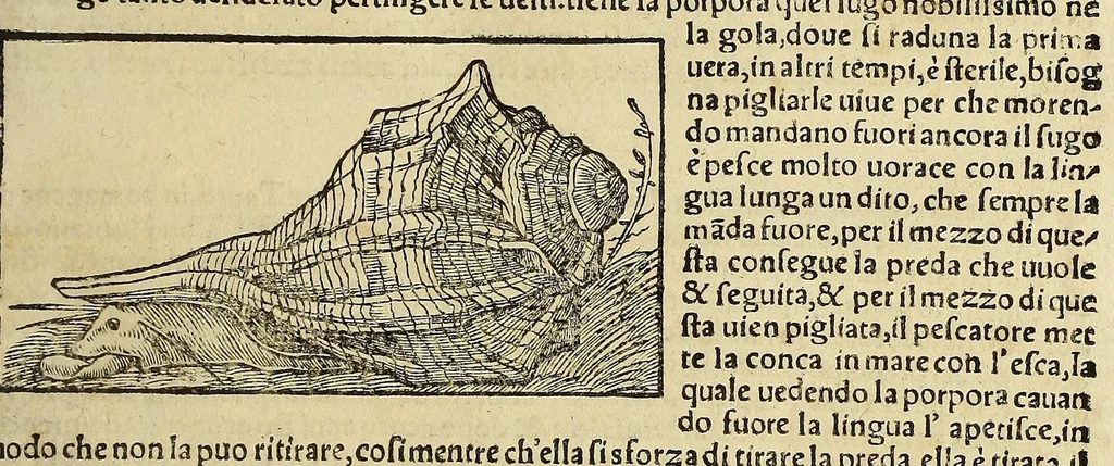 An illustration from Cosmographia vniuersale, nella quale secondo che n'hanno parlato : ipiu veraci scrittori, son designati i siti di tutti gli paësi. I siti de tutte le parti del mondo habitabile, & le proprie doti: le tauole topographice delle regioni ..., 1575, leaf 1189