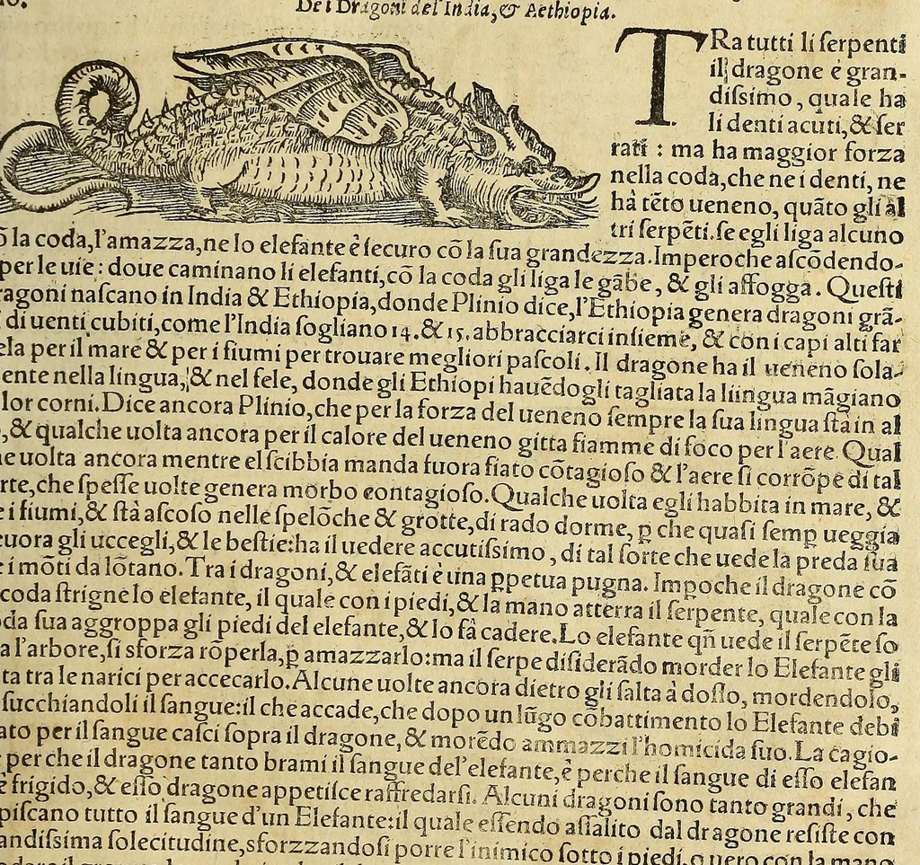 An illustration from Cosmographia vniuersale, nella quale secondo che n'hanno parlato : ipiu veraci scrittori, son designati i siti di tutti gli paësi. I siti de tutte le parti del mondo habitabile, & le proprie doti: le tauole topographice delle regioni ..., 1575, leaf 1237