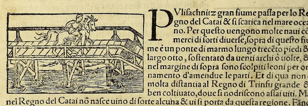 An illustration from Cosmographia vniuersale, nella quale secondo che n'hanno parlato : ipiu veraci scrittori, son designati i siti di tutti gli paësi. I siti de tutte le parti del mondo habitabile, & le proprie doti: le tauole topographice delle regioni ..., 1575, leaf 1268