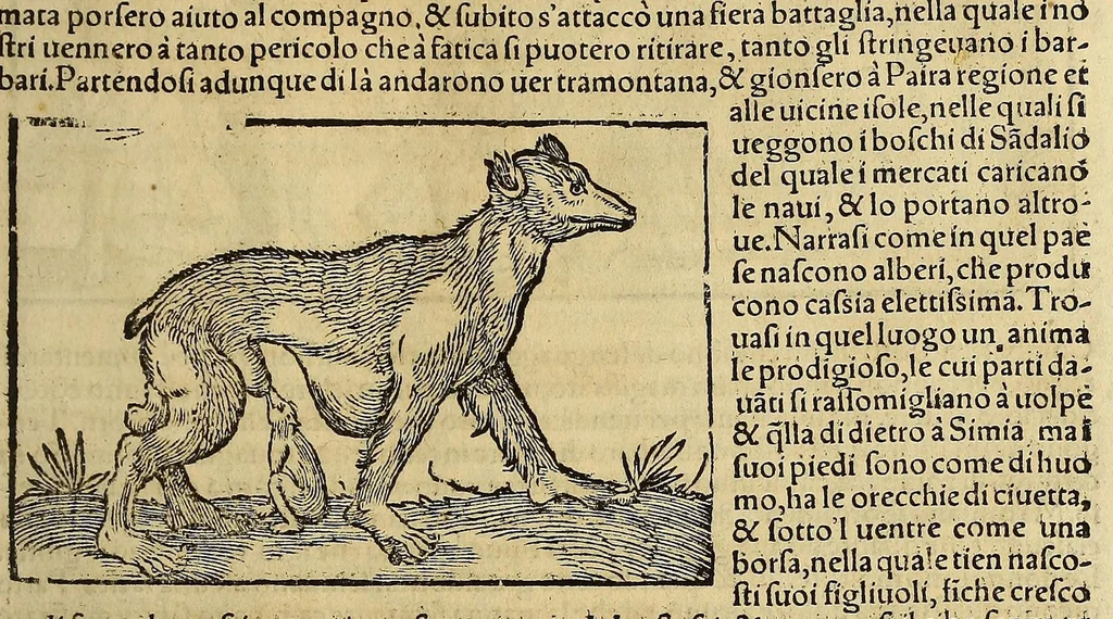 An illustration from Cosmographia vniuersale, nella quale secondo che n'hanno parlato : ipiu veraci scrittori, son designati i siti di tutti gli paësi. I siti de tutte le parti del mondo habitabile, & le proprie doti: le tauole topographice delle regioni ..., 1575, leaf 1279
