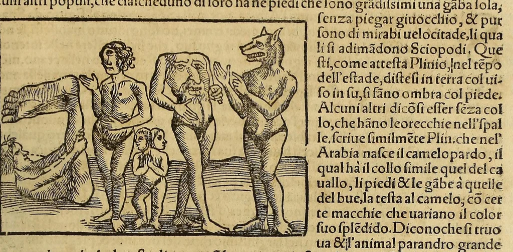 An illustration from Cosmographia vniuersale, nella quale secondo che n'hanno parlato : ipiu veraci scrittori, son designati i siti di tutti gli paësi. I siti de tutte le parti del mondo habitabile, & le proprie doti: le tauole topographice delle regioni ..., 1575, leaf 1321