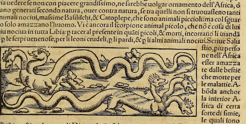 An illustration from Cosmographia vniuersale, nella quale secondo che n'hanno parlato : ipiu veraci scrittori, son designati i siti di tutti gli paësi. I siti de tutte le parti del mondo habitabile, & le proprie doti: le tauole topographice delle regioni ..., 1575, leaf 1321