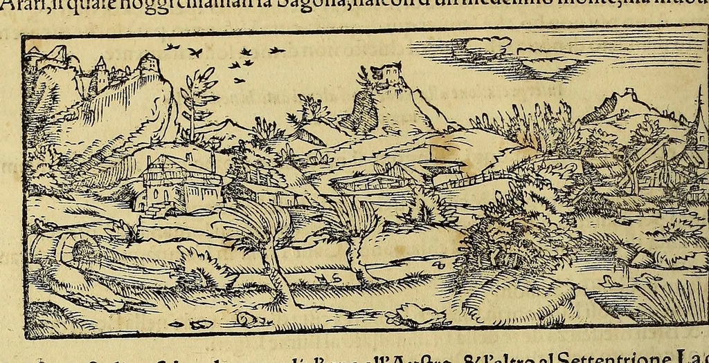 An illustration from Cosmographia vniuersale, nella quale secondo che n'hanno parlato : ipiu veraci scrittori, son designati i siti di tutti gli paësi. I siti de tutte le parti del mondo habitabile, & le proprie doti: le tauole topographice delle regioni ..., 1575, leaf 188