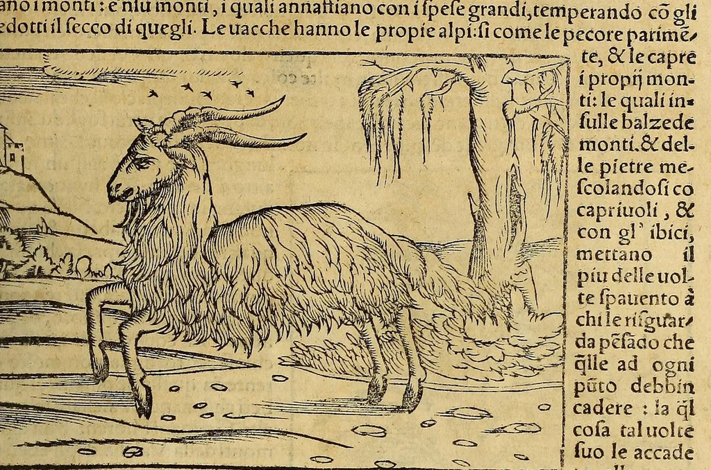 An illustration from Cosmographia vniuersale, nella quale secondo che n'hanno parlato : ipiu veraci scrittori, son designati i siti di tutti gli paësi. I siti de tutte le parti del mondo habitabile, & le proprie doti: le tauole topographice delle regioni ..., 1575, leaf 469