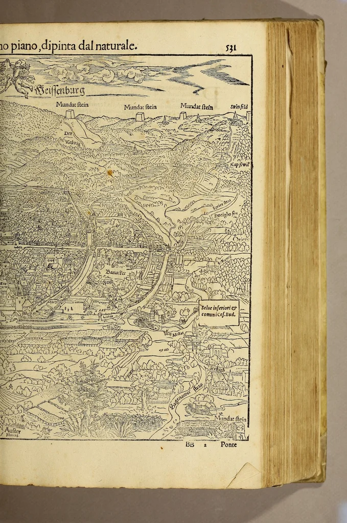 An illustration from Cosmographia vniuersale, nella quale secondo che n'hanno parlato : ipiu veraci scrittori, son designati i siti di tutti gli paësi. I siti de tutte le parti del mondo habitabile, & le proprie doti: le tauole topographice delle regioni ..., 1575, leaf 603