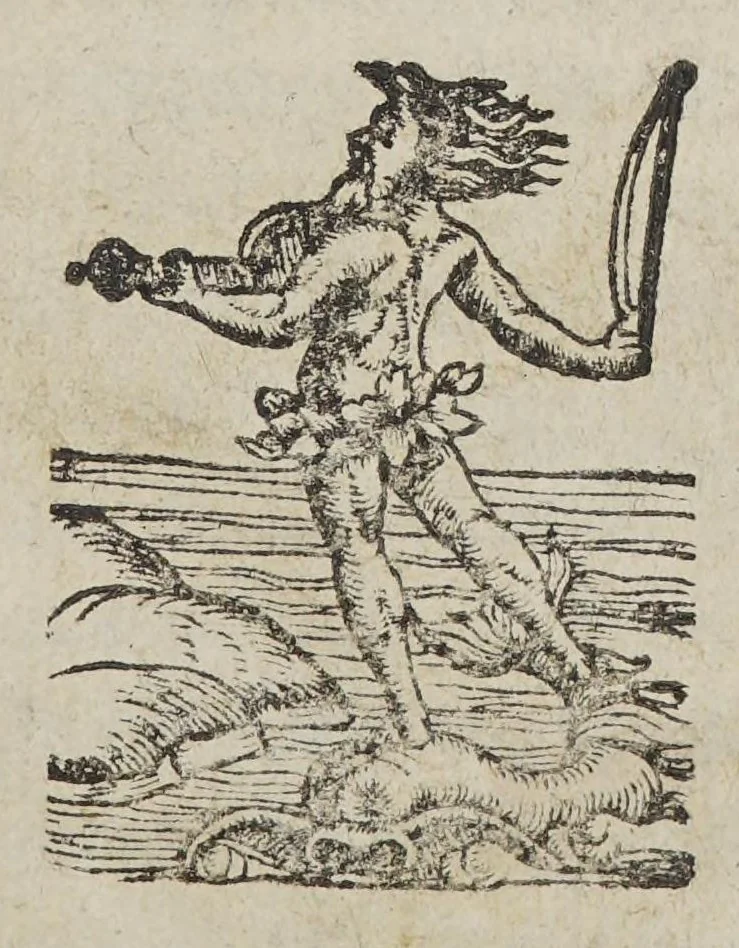 An illustration from Cosmographicae disciplinae compendium, in suum finem, hoc est ad Diuinae Prouidentiae certissimam demonstrationem conductum. : addita est rerum toto in orbe gestarum synopsis. Item, quot, quantaeq[ue] Christianarum gentium nationes, nobis hactenus incognitae, in vniuerso sint, quae à nostro orbe lumen euangelij sibi restitutum iri credunt., 1561, leaf 5