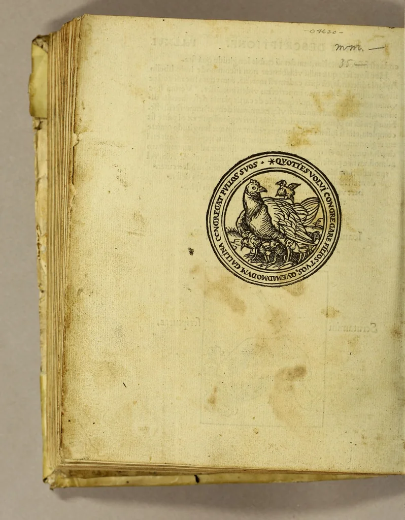 An illustration from Cosmographicus liber Petri Apiani mathematici,, 1533, leaf 136
