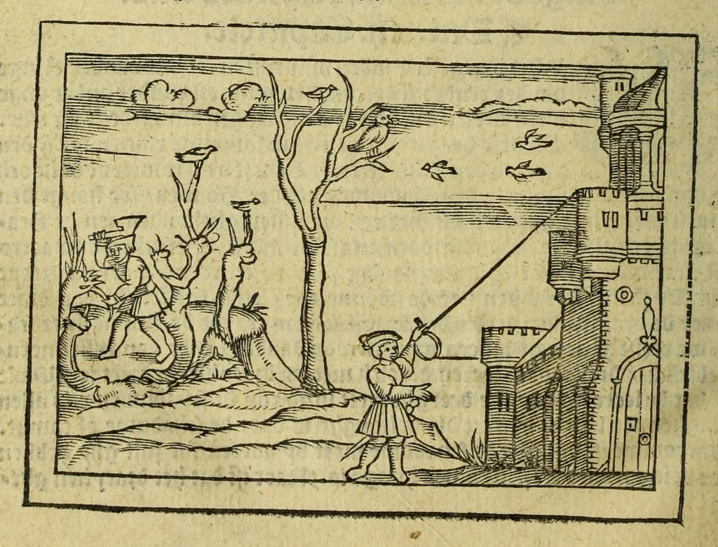An illustration from Cosmographie, oft Beschrijuinghe der gheheelder werelt van Petrus Apianus, derdewerf ghecorrigeert van Gemma Frisio ... Metten zeecompasse ende anderen boecxkens byden selve[n] Gemma daer toegedaen, 1561, leaf 148